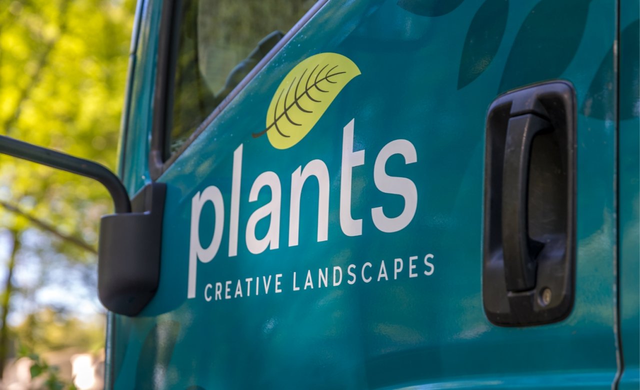 Plants Creative Landscapes video